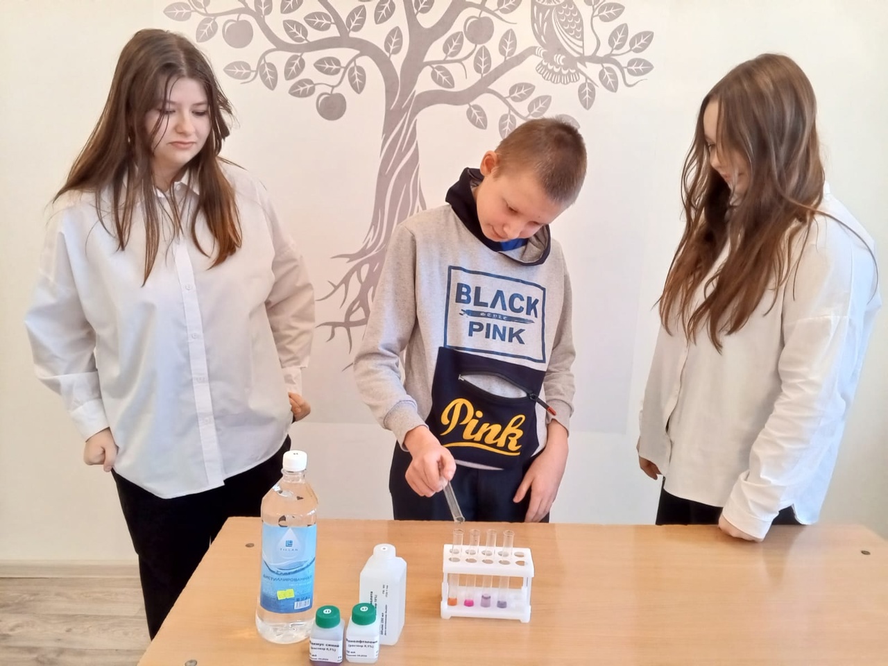Использование индикаторов для распознавания неорганических веществ